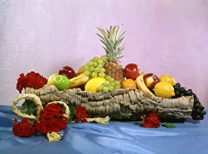 Citrus Collection: Colourful arrangement of fruit