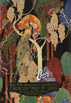 Peacock Prints: A colourful artwork promoting A. J. Caley Limited