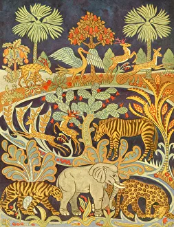 Zebra Gallery: A colourful and exotic gathering of animals
