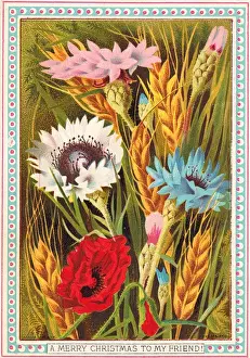 Cornfield Prints: Colourful flowers on a Christmas card