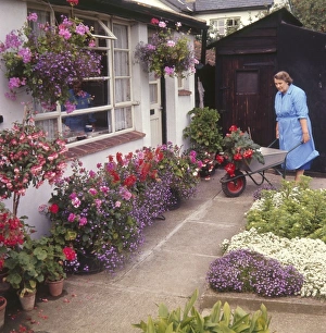 Galore Gallery: Colourful Garden