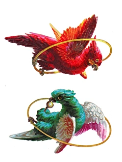 Colourful parrots on two Victorian scraps Colourful parrots on two Victorian scraps