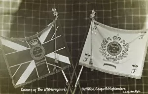 Albanys Gallery: Colours of the 6th (Morayshire) Battalion, Seaforth Highland