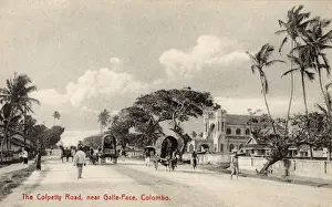 Crenellation Prints: Colpetty Road, near Galle Face, Colombo, Ceylon (Sri Lanka)