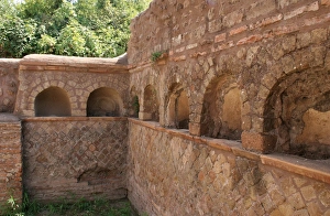 Images Dated 14th August 2005: Columbarium. Ostia Antica. Italy