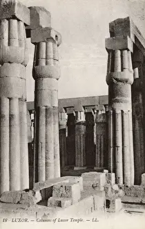 Thebes Prints: Columns of the Luxor Temple, Egypt