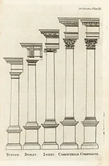 Elevation Prints: Columns of the various orders of classical architecture
