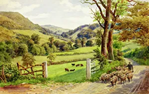 Clwyd Prints: Colwyn Bay, Clwyd, North Wales
