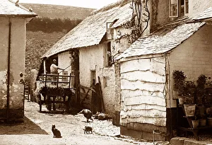 Combeinteignhead