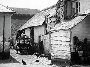 Combeinteignhead devon
