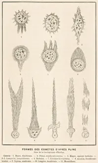 Reported Prints: Comets of 1st Century