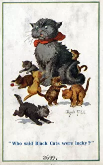 Images Dated 23rd March 2021: Comic postcard, Black cat annoyed by kittens Date: circa 1918