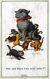 Comic postcard, Black cat annoyed by kittens Date: circa 1918