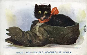 Comic postcard, Black cat sitting inside an old shoe on a Good Luck card Date