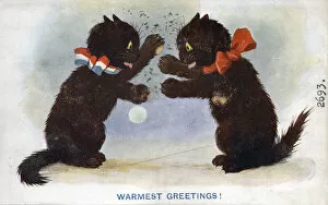 Images Dated 23rd March 2021: Comic postcard, Two black cats on greetings card