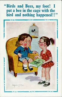 Cage Gallery: Comic postcard, Boy and girl, birds and bees Date: 20th century
