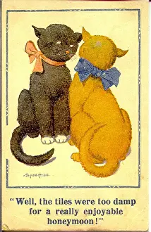 Comic postcard, Two cats discuss their honeymoon Date: 20th century