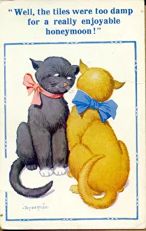 Comic postcard, Two cats discuss their honeymoon Date: 20th century Comic postcard, Two cats discuss their honeymoon Date: 20th century