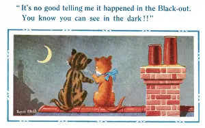Blackout Prints: Comic postcard, two cats on a roof, WW2 - it happened in the blackout Date: 1940s