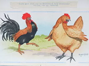 Cock Gallery: Comic postcard, Cockerel and hen