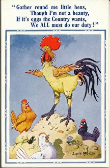 Inviting Collection: Comic postcard, Cockerel and hens, egg production, WW2 Date: 1940s