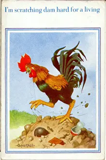 Rubbish Prints: Comic postcard, Cockerel scratching for a living Date: 20th century