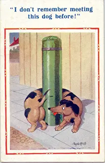 Comic postcard, Dachshund wrapped round post Date: 20th century