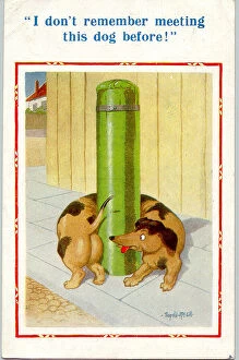 Encounter Collection: Comic postcard, Dachshund wrapped round post Date: 20th century