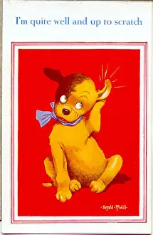 Flea Prints: Comic postcard, Dog feeling up to scratch Date: 20th century