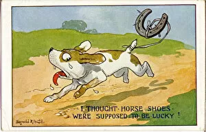Sharp Gallery: Comic postcard, Dog with horseshoe tied to tail