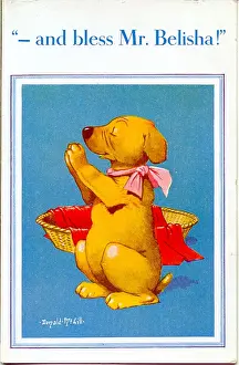 Beacon Prints: Comic postcard, Dog saying his prayers - bless Mr Belisha