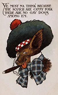 Tammy Gallery: Comic postcard, dog in Scottish costume
