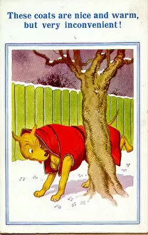 Comic postcard, Dog wearing coat in winter