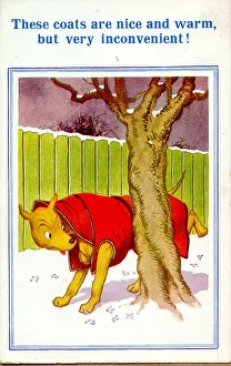 Inconvenient Prints: Comic postcard, Dog wearing coat in winter