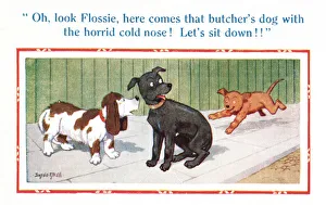Comic postcard, three dogs