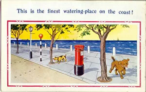Comic postcard, Dogs at the seaside Date: 20th century