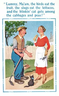 Comic postcard, gardener complaining