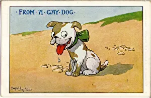 Meaning Prints: Comic postcard, From a gay dog