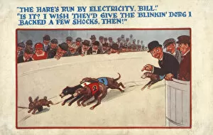 Hare Gallery: Comic Postcard - Greyhound Racing - The hares run by electricity, Bill Is it