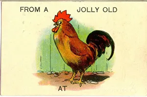Cockerel Prints: Comic postcard, From a jolly old cock Date: 20th century