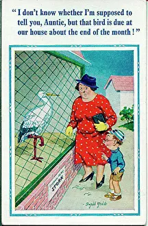 Storks Prints: Comic postcard, Little boy and aunt at the zoo - stork Date: 20th century