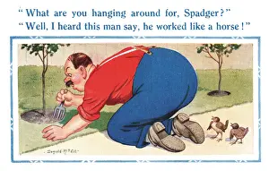Sparrow Prints: Comic postcard, man gardening, two sparrows Date: 20th century