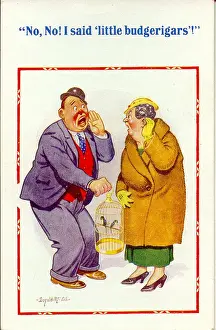 Comic postcard, Man and woman with caged birds Date: 20th century