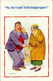 Word Gallery: Comic postcard, Man and woman with caged birds Date: 20th century