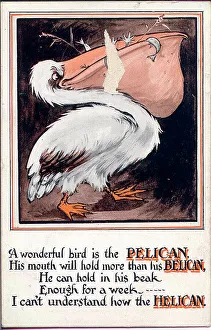 Comic postcard, The Pelican Date: early 20th century
