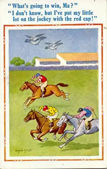 Jockeys Gallery: Comic postcard, Pigeons flying above racehorses Date: 20th century