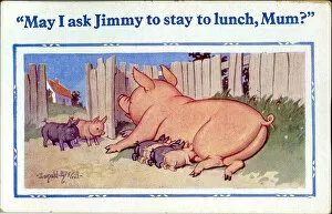 Lunch Gallery: Comic postcard, Piglets at lunchtime Date: 20th century