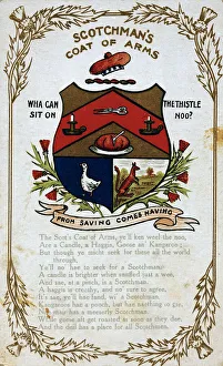 Tammy Gallery: Comic postcard, Scotchmans coat of arms