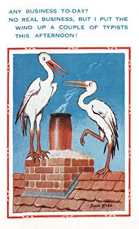 Stork Gallery: Comic postcard, two storks on a roof