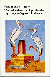 Comic postcard, two storks on a roof